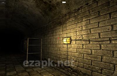 The Light Sense