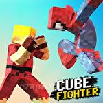 Cube pixel fighter 3D