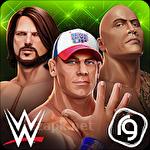 WWE mayhem