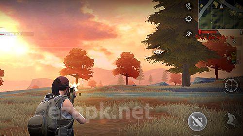 Survivor royale