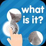 101 pics: Photo quiz