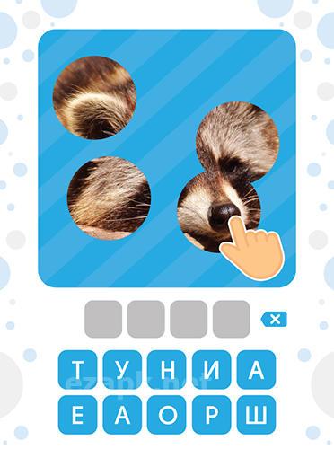 101 pics: Photo quiz