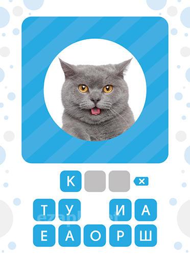 101 pics: Photo quiz
