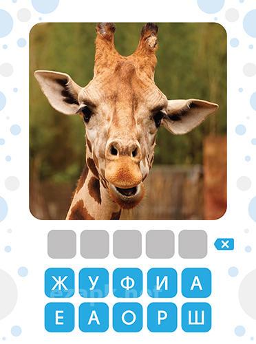 101 pics: Photo quiz