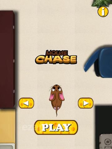 Mouse Chase