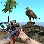 Desert birds hunting shooting