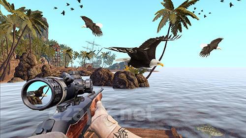 Desert birds hunting shooting