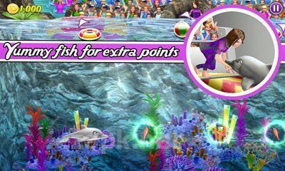 My dolphin show