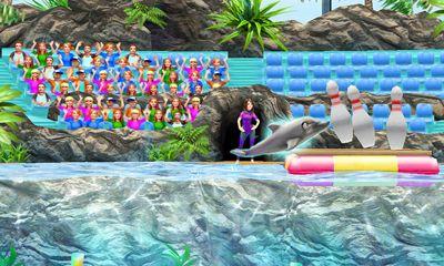 My dolphin show