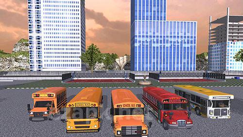 School bus driver 2017