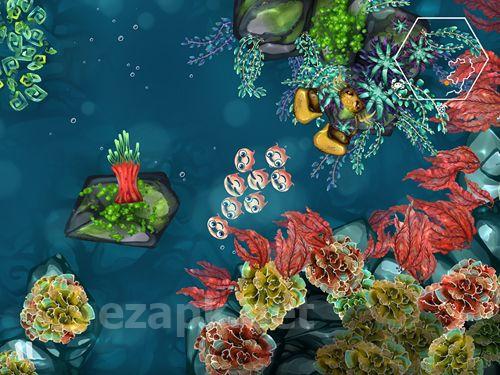 Jelly reef