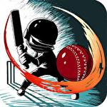 Cricket career: Biginnings 3D