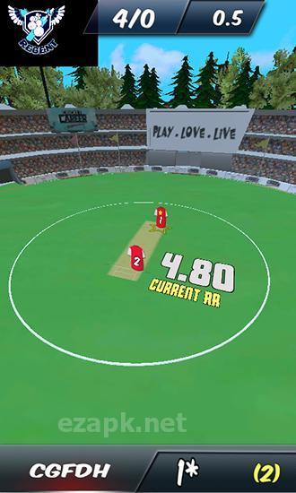 Cricket career: Biginnings 3D