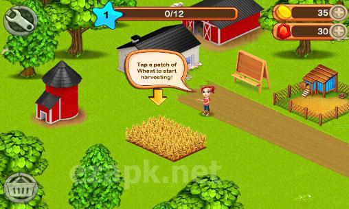 Little big farm