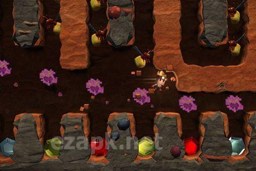 Boulder dash: 30th anniversary