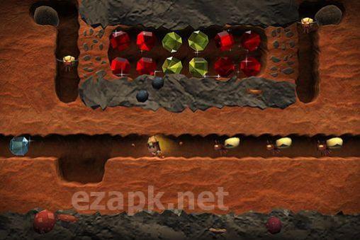 Boulder dash: 30th anniversary