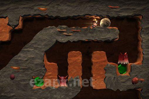 Boulder dash: 30th anniversary