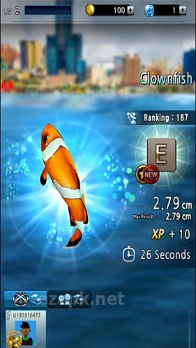 Fishing king :The Urban angler