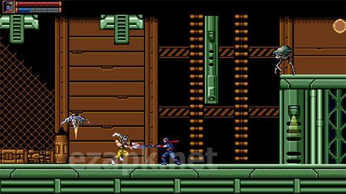 Ninja ranger