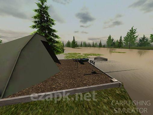 Carp fishing simulator