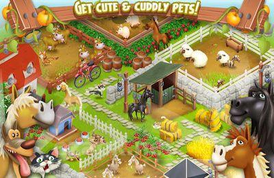 Hay Day