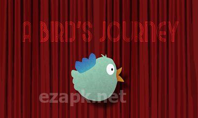 A Tiny Bird's Journey