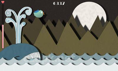 A Tiny Bird's Journey
