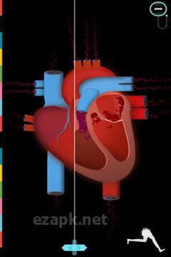 The Human Body by Tinybop
